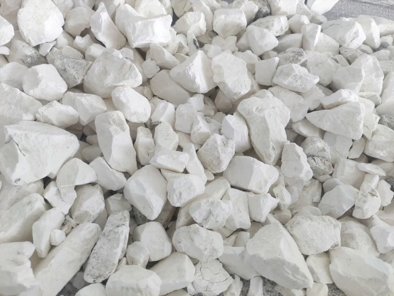 Lưu nháp tự động